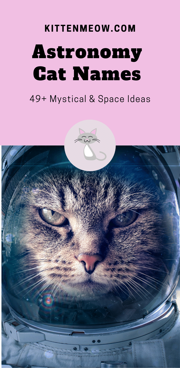 Astronomy Cat Names 49+ Mystical & Space Ideas KittenMeow