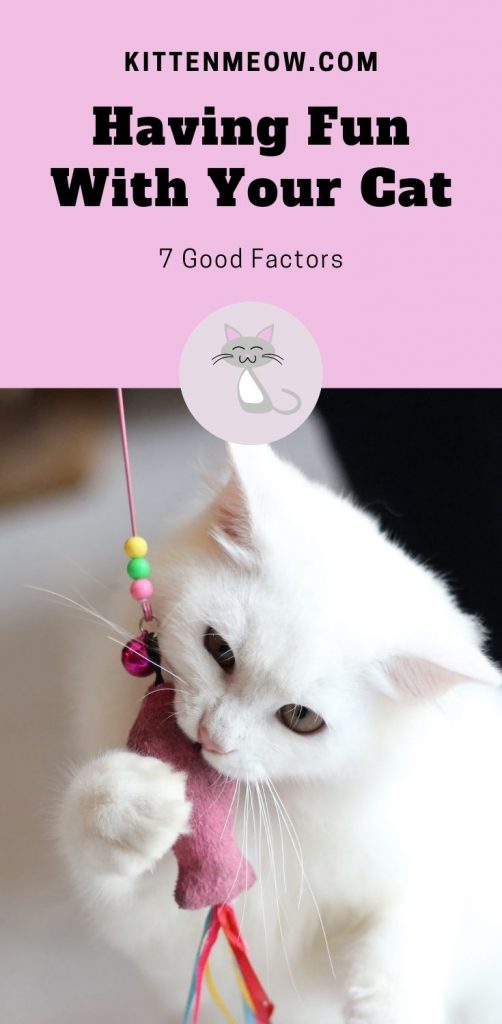 Having Fun With Your Cat pin